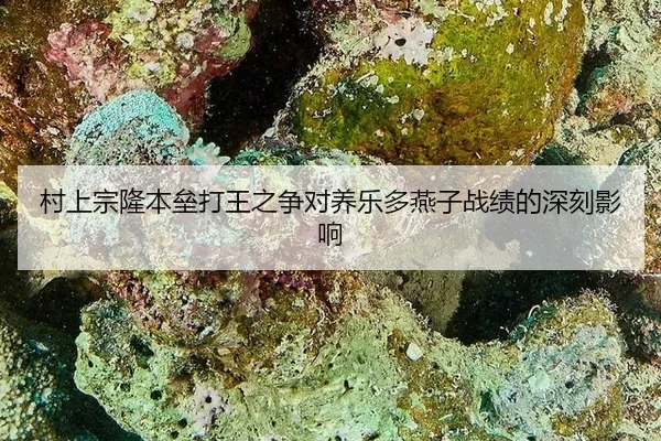 村上宗隆本垒打王之争对养乐多燕子战绩的深刻影响