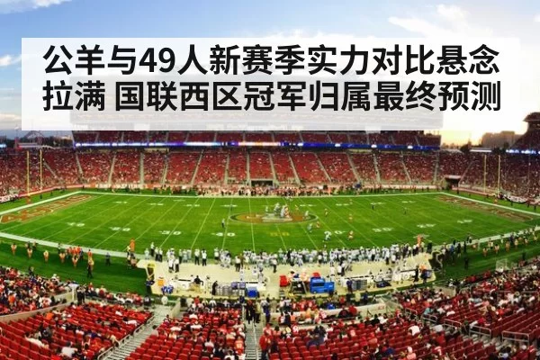 NFL stadium crowd