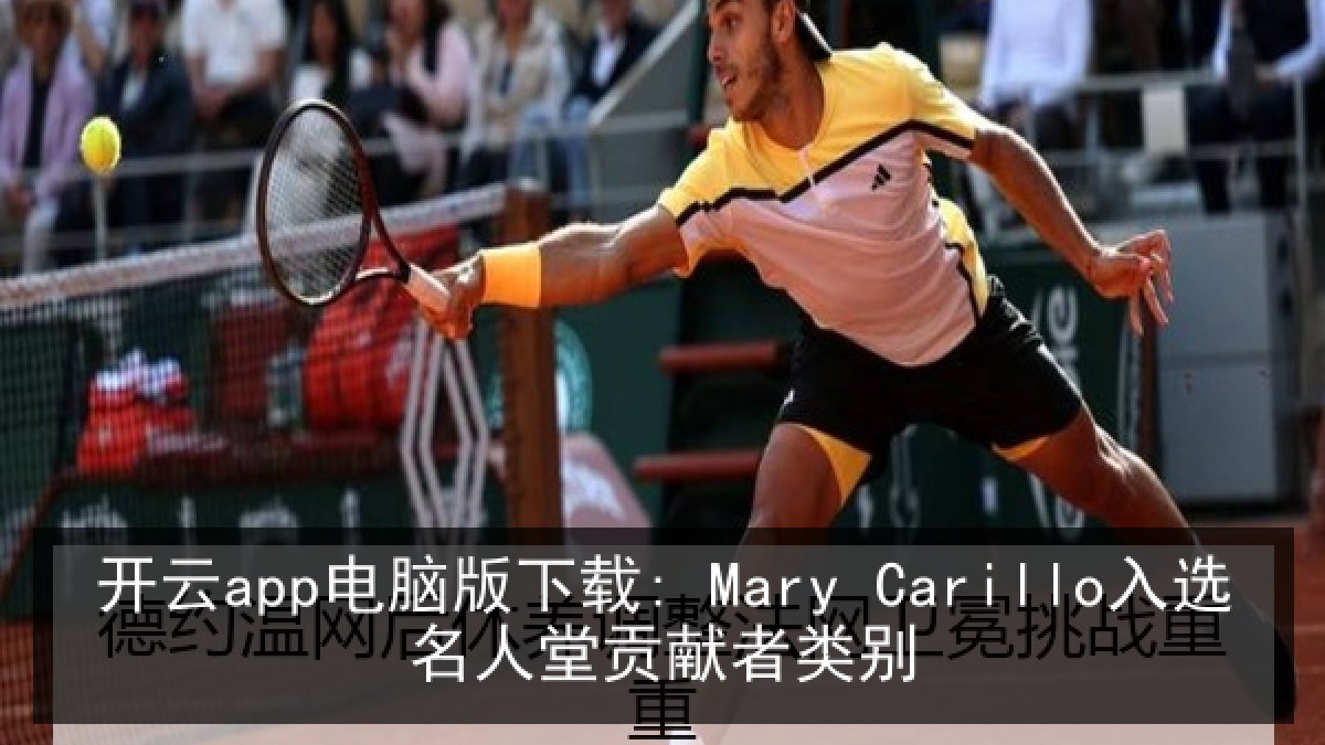 开云app电脑版下载: Mary Carillo入选名人堂贡献者类别